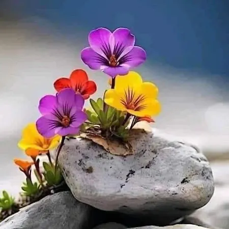 게스트하우스 In Prior Velho 리스본